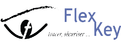 Flex Key logo